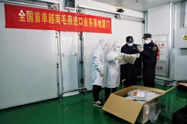 国内首次！厦门自贸片区从越南进口110千克毛燕