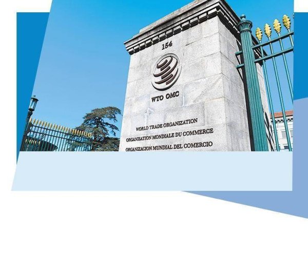 世贸组织改革取得系列成果