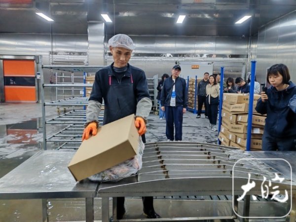 潮涌长三角 皖美江淮行|从杭州白领到“渔二代”：“90后”安徽姑娘返乡养鳜鱼，年产值目标2亿元