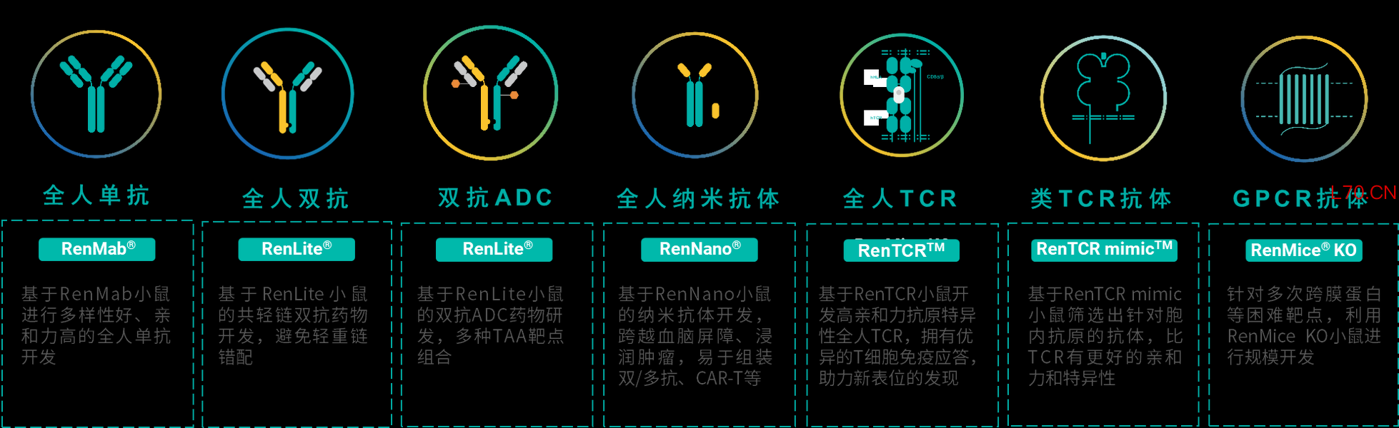 （RenMice®系列全人抗体）
