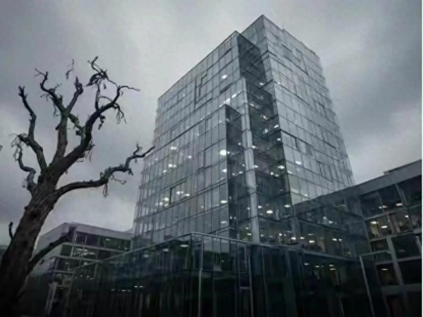 安世时隔8个月亮剑! 中企向荷兰索赔543亿, 为海外中企撑腰